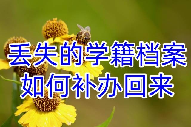 丢失的学籍档案如何补办回来