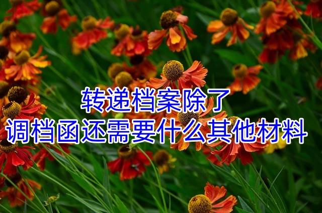 转递档案除了调档函还需要什么其他材料