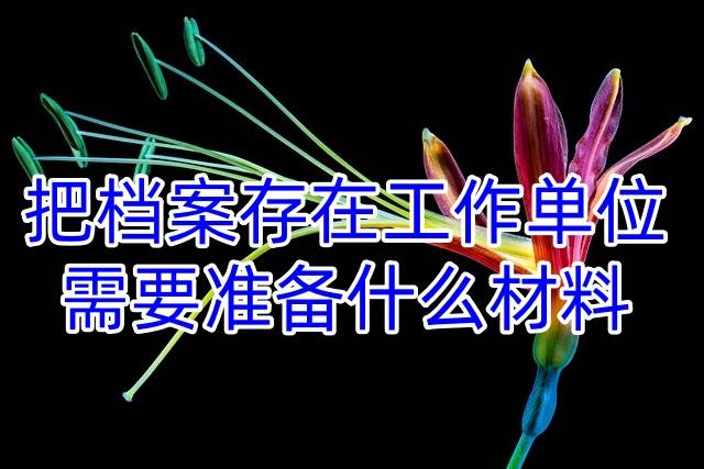 把档案存在工作单位需要准备什么材料