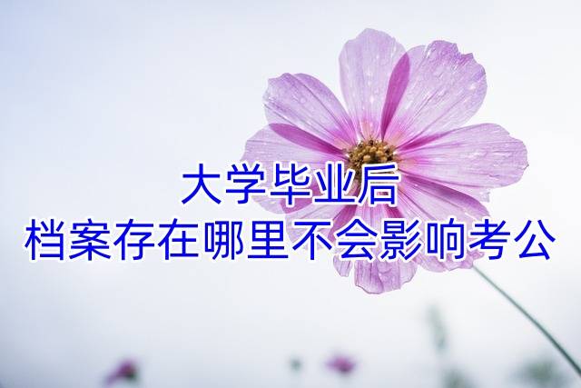 大学毕业后档案存在哪里不会影响考公
