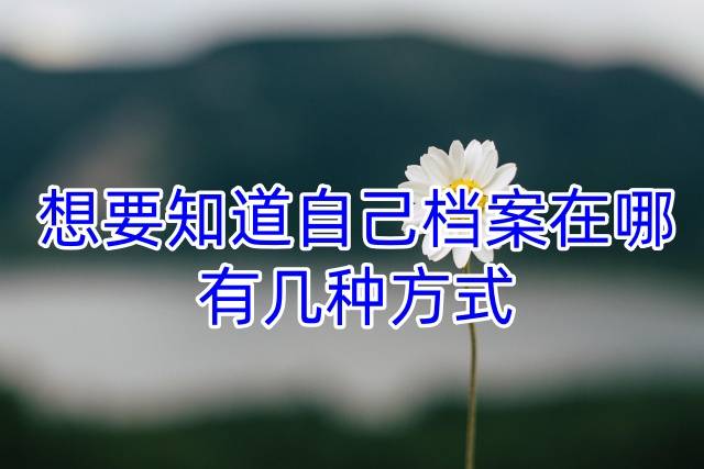 想要知道自己档案在哪有几种方式