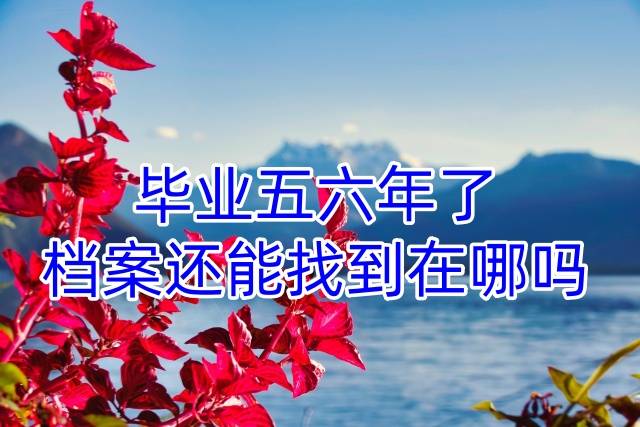 毕业五六年了档案还能找到在哪吗