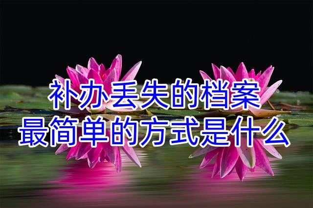 补办丢失的档案最简单的方式是什么