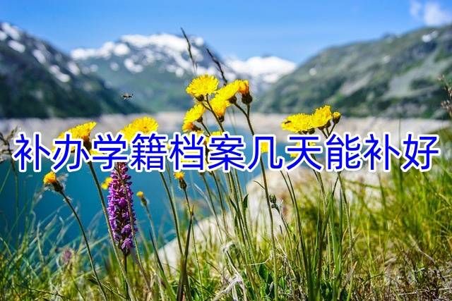 补办学籍档案几天能补好