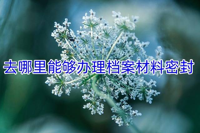 去哪里能够办理档案材料密封