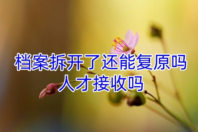 档案拆开了还能复原吗，人才接收吗