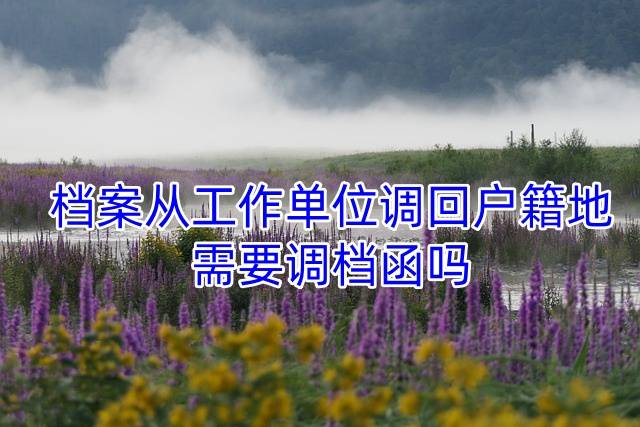 档案从工作单位调回户籍地，需要调档函吗
