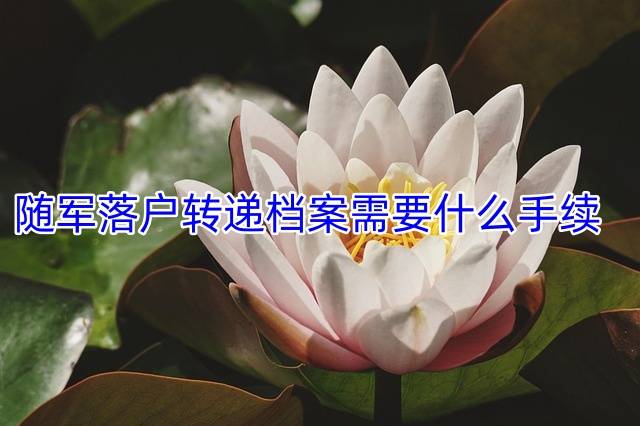 随军落户转递档案需要什么手续
