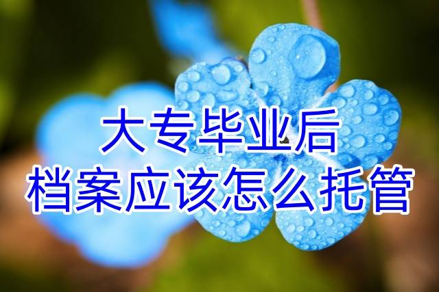 大专毕业后档案应该怎么托管