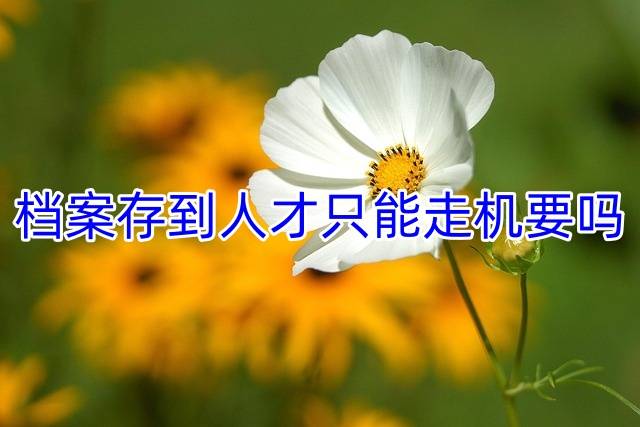 档案存到人才只能走机要吗