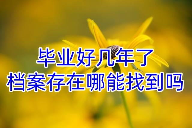 毕业好几年了档案存在哪能找到吗