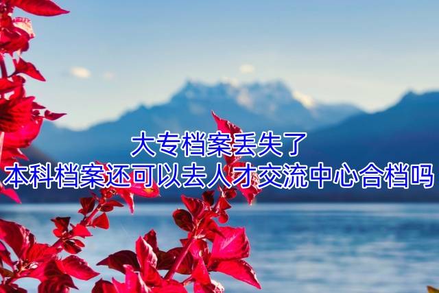 大专档案丢失了,本科档案还可以去人才交流中心合档吗