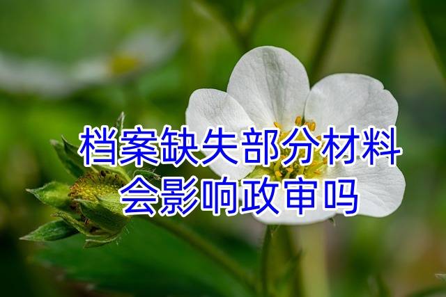 档案缺失部分材料会影响政审吗