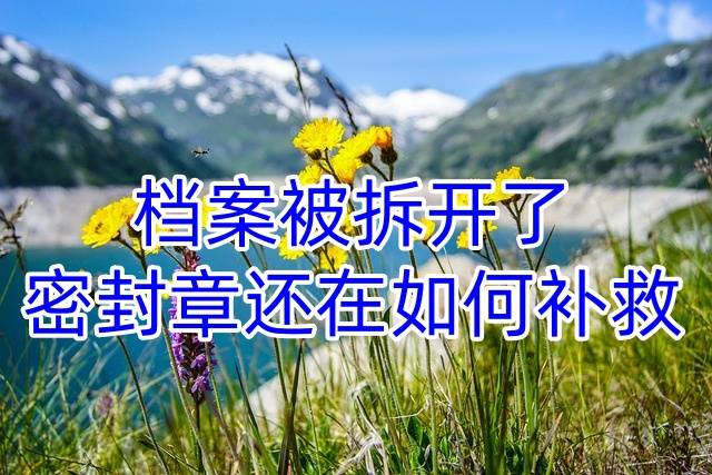 档案被拆开了密封章还在如何补救