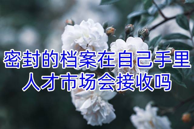 密封的档案在自己手里人才市场会接收吗