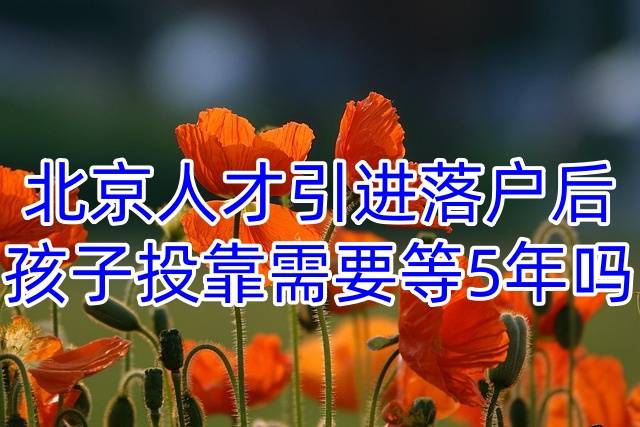 北京人才引进落户后,孩子投靠需要等5年吗