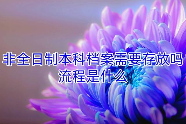 非全日制本科档案需要存放吗，流程是什么