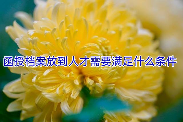 函授档案放到人才需要满足什么条件