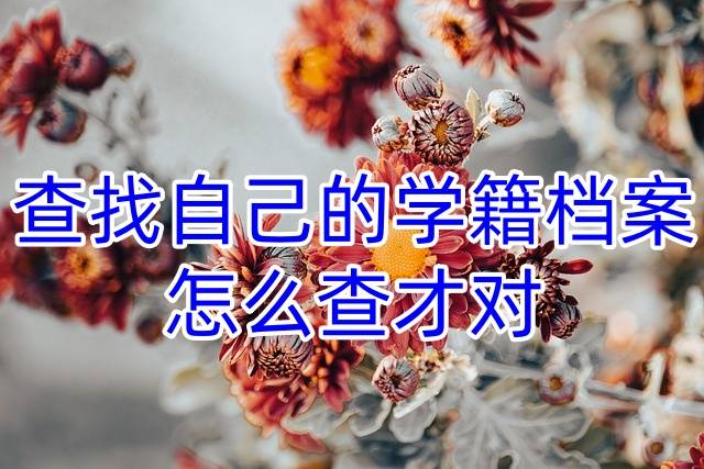 查找自己的学籍档案，怎么查才对