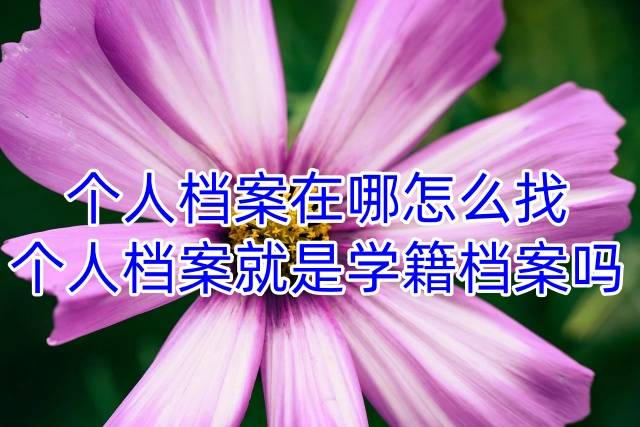 个人档案在哪怎么找，个人档案就是学籍档案吗