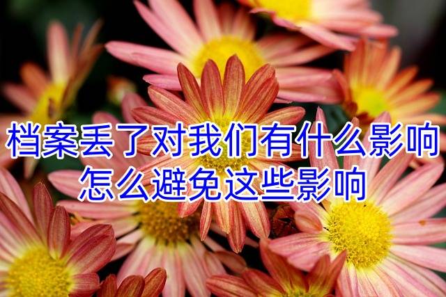 档案丢了对我们有什么影响，怎么避免这些影响