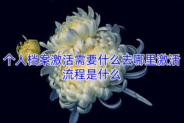 个人档案激活需要什么去哪里激活，流程是什么