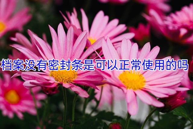 档案没有密封条是可以正常使用的吗