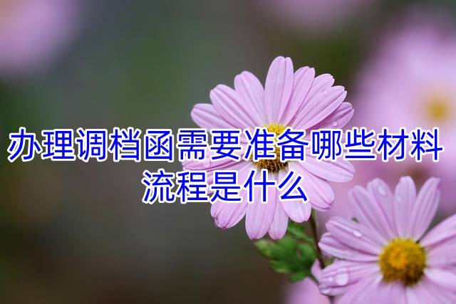 办理调档函需要准备哪些材料，流程是什么