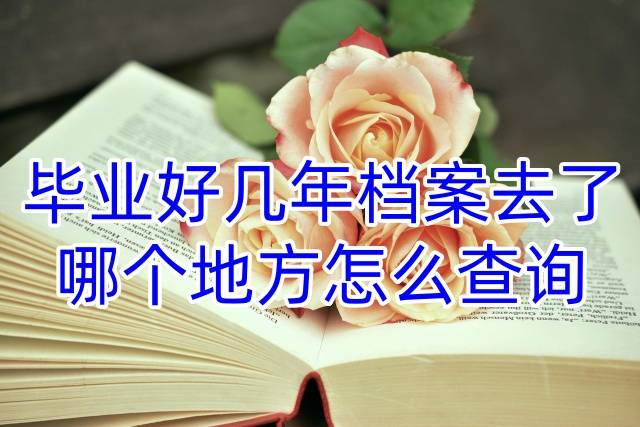 毕业好几年档案去了哪个地方怎么查询