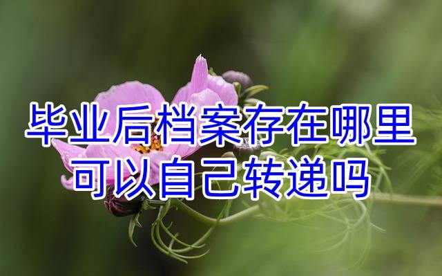 毕业后档案存在哪里，可以自己转递吗