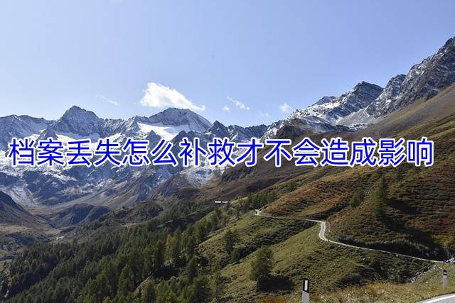 档案丢失怎么补救才不会造成影响