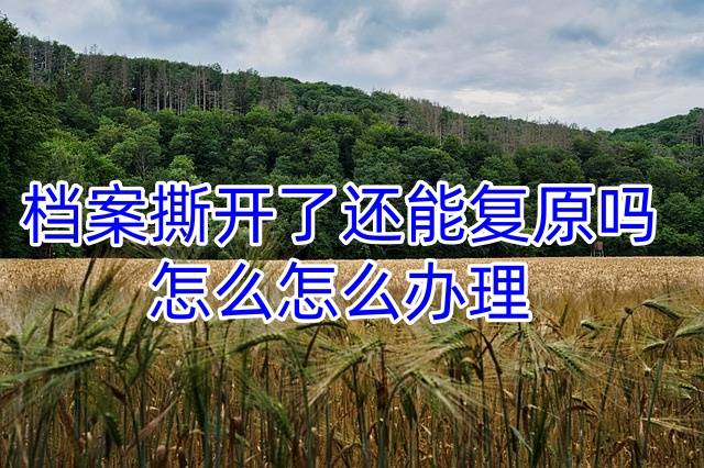 档案撕开了还能复原吗，怎么办理
