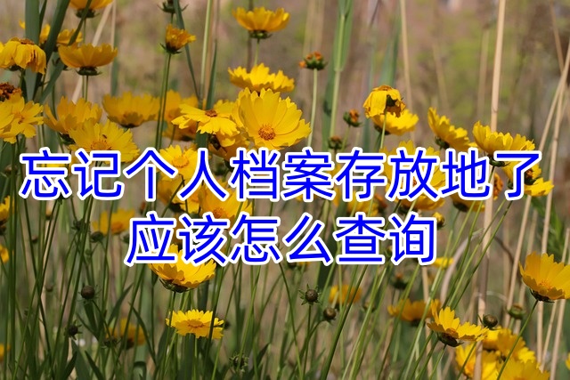 忘记个人档案存放地了应该怎么查询