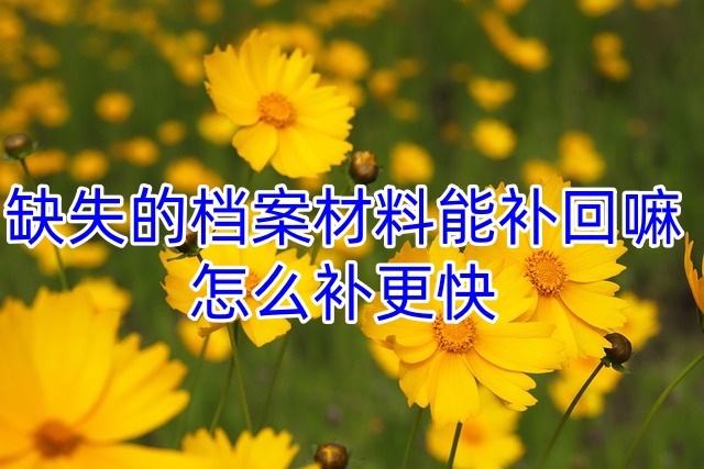 缺失的档案材料能补回嘛，怎么补更快