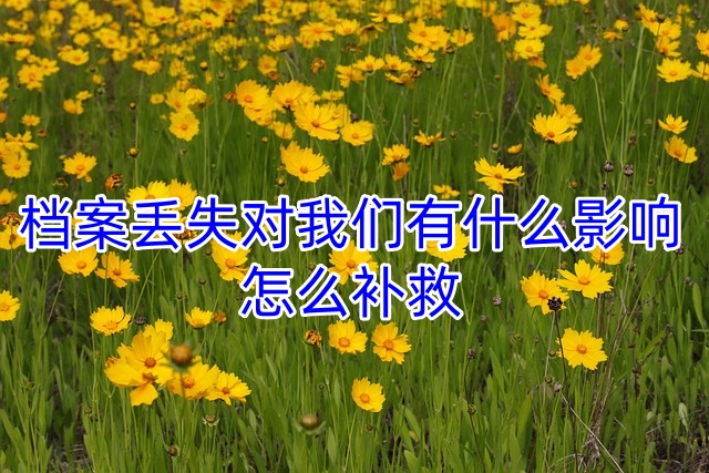 档案丢失对我们有什么影响，怎么补救