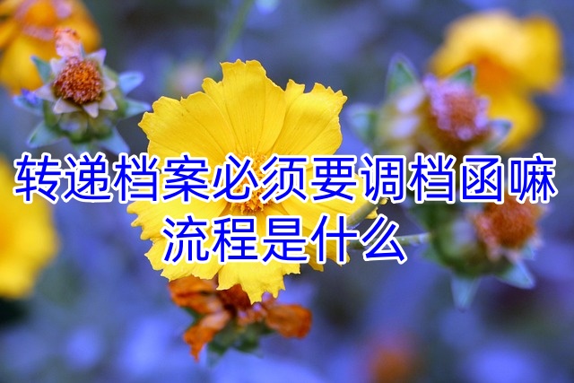 转递档案必须要调档函嘛，流程是什么