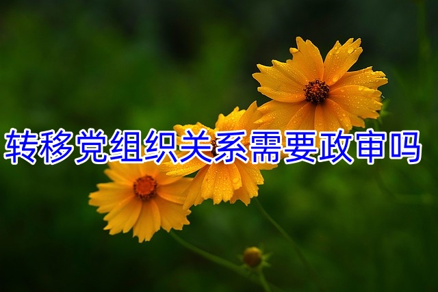 转移党组织关系需要政审吗