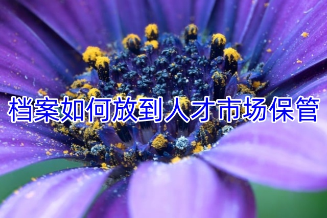 档案如何放到人才市场保管