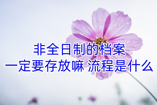 非全日制的档案一定要存放嘛,流程是什么