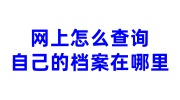 网上档案查询