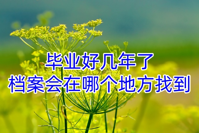 毕业好几年了档案会在哪个地方找到