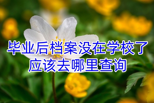 毕业后档案没在学校了应该去哪里查询