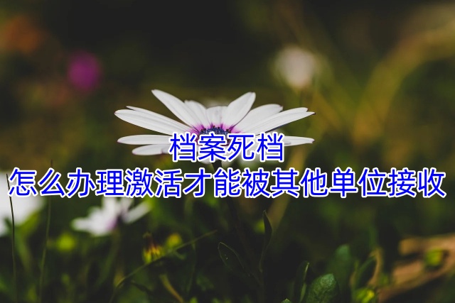 档案死档怎么办理激活才能被其他单位接收