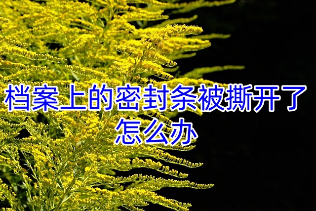 档案上的密封条被撕开了怎么办