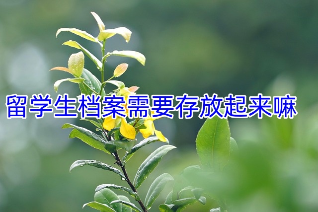 留学生档案需要存放起来嘛