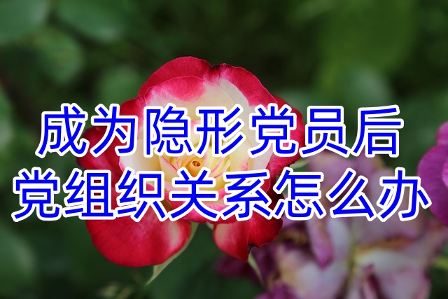 成为隐形党员后，党组织关系怎么办