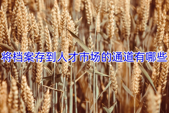 将档案存到人才市场的通道有哪些