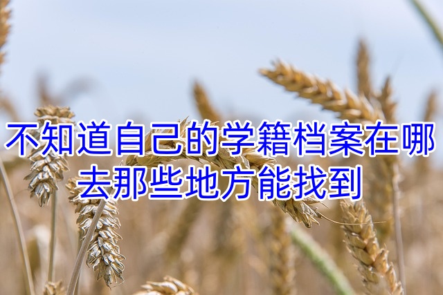不知道自己的学籍档案在哪，去那些地方能找到