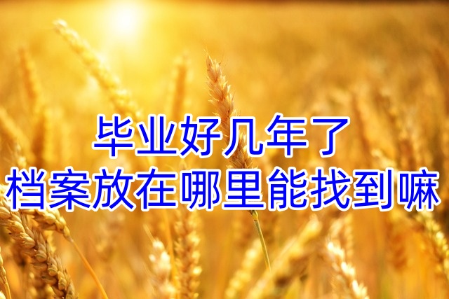 毕业好几年了档案放在哪里能找到嘛