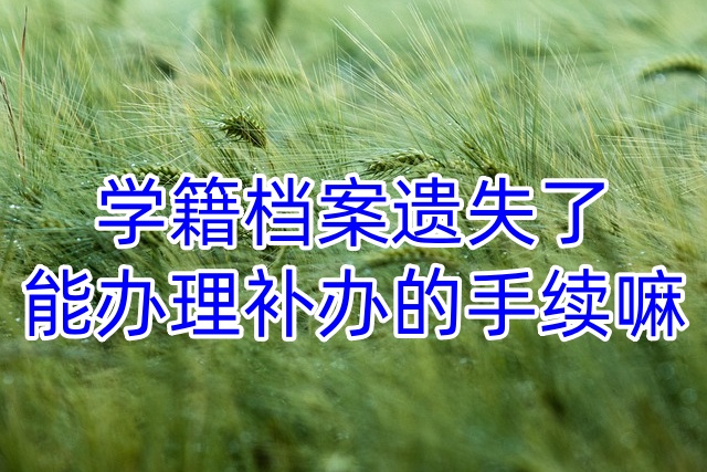 学籍档案遗失了能办理补办的手续嘛